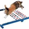 Agility Kerbl Kombihopp Kanin