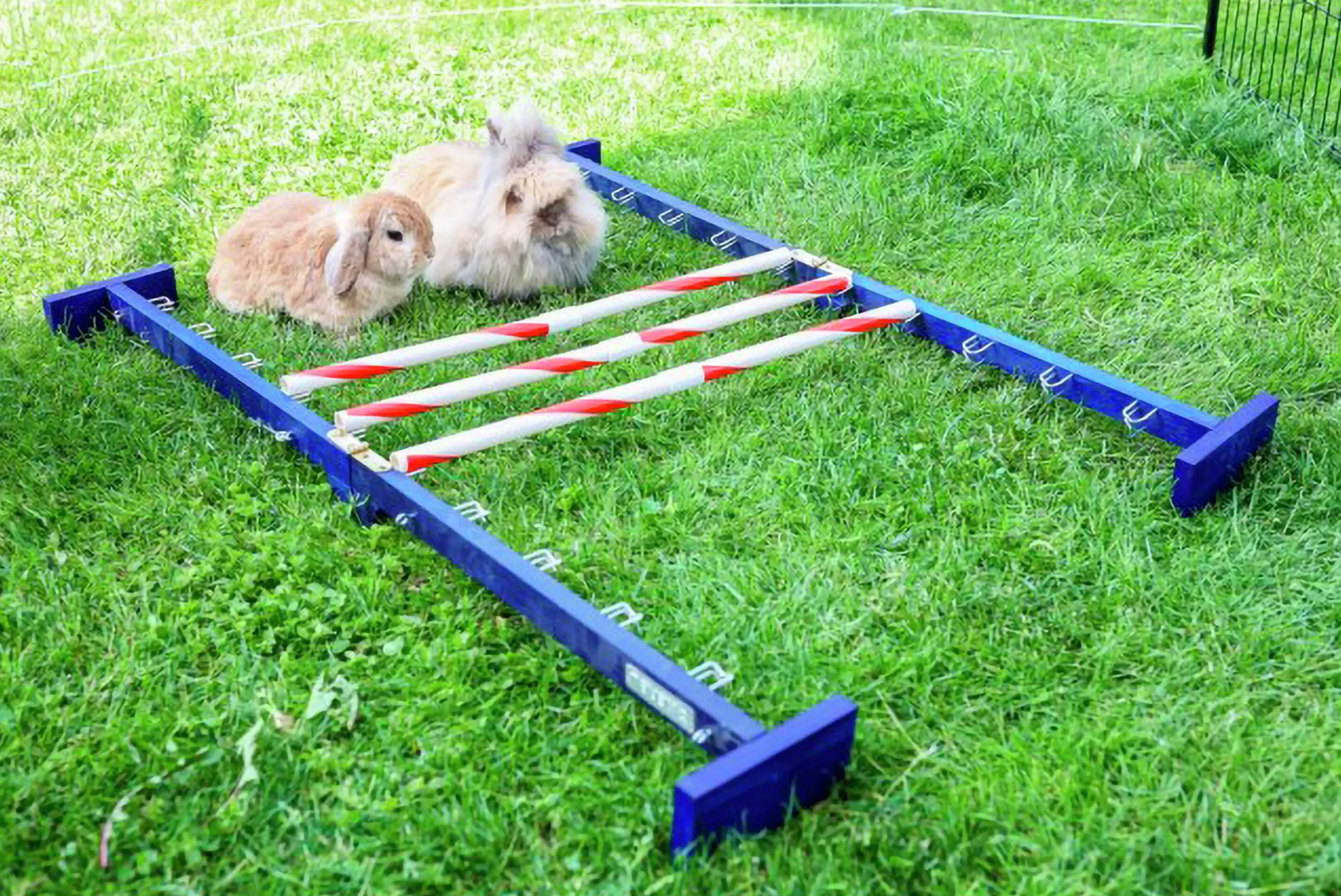 Agility Kerbl Kombihopp Kanin