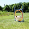 Agility Ring Hopphinder Trixie Svart/Orange 78x65x115cm