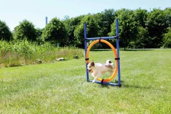 Agility Ring Hopphinder Trixie Svart/Orange 78x65x115cm