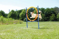 Agility Ring Hopphinder Trixie Svart/Orange 78x65x115cm