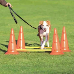 Agility Trixie Hinder set Hopphinder Orange 2-p