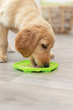 Aktiveringsleksak Trixie Lick'n'Snack-matta Grön 17cm