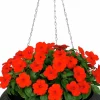 Ampel Ventura Pokal Svart Ø38cm