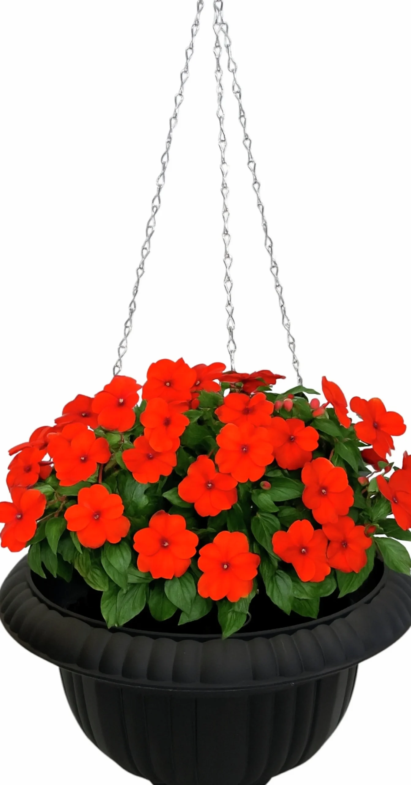 Ampel Ventura Pokal Svart Ø38cm