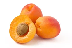 Aprikos 'Orangered' Krukodlad