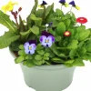 Arrangemang Vårväxter "Spring Break" 23cm