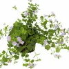 Bacopa / Snöflinga lat. Chaenostoma cordatum