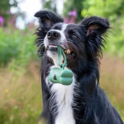 Bajspåsehållare Green Bone inkl 1 rulle