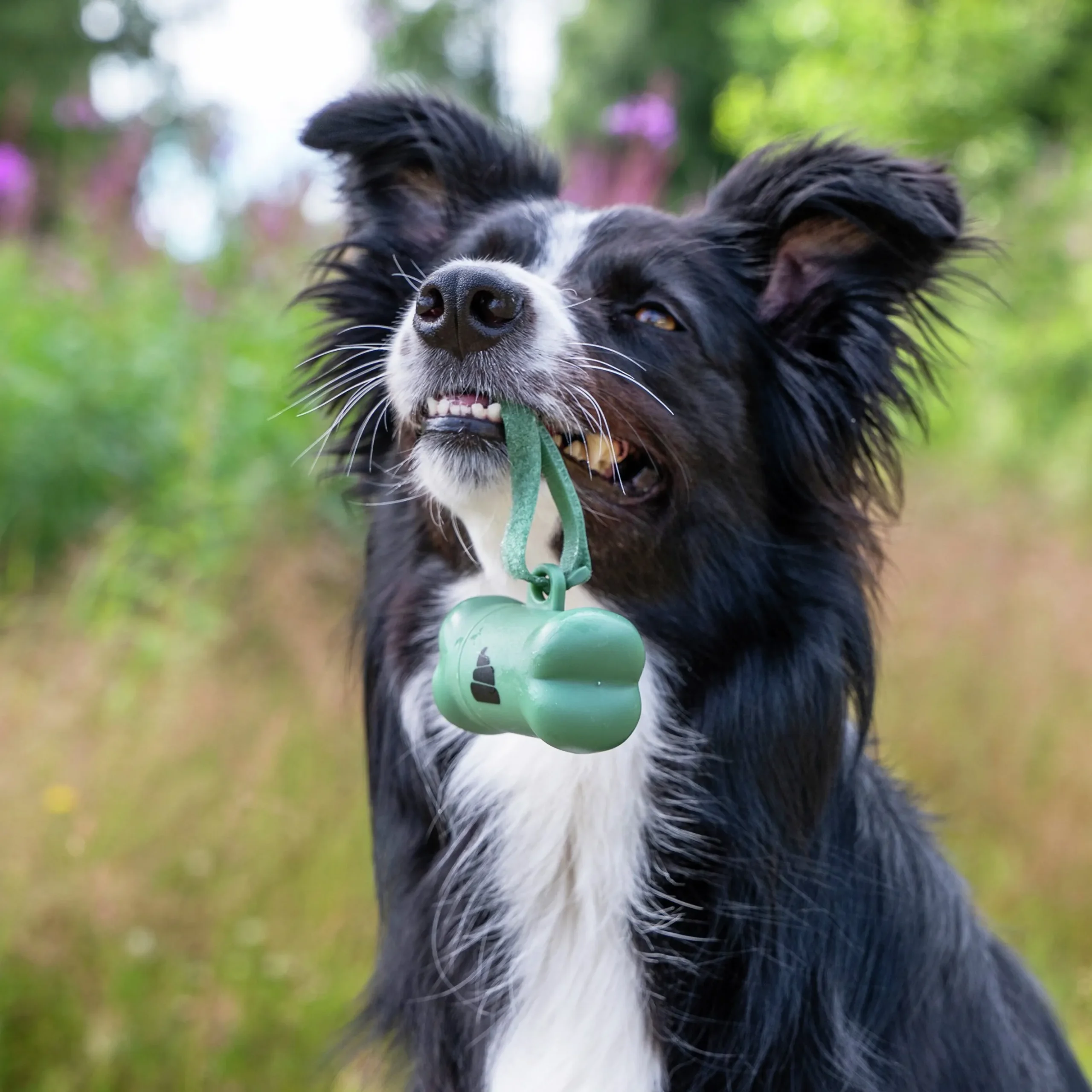 Bajspåsehållare Green Bone inkl 1 rulle