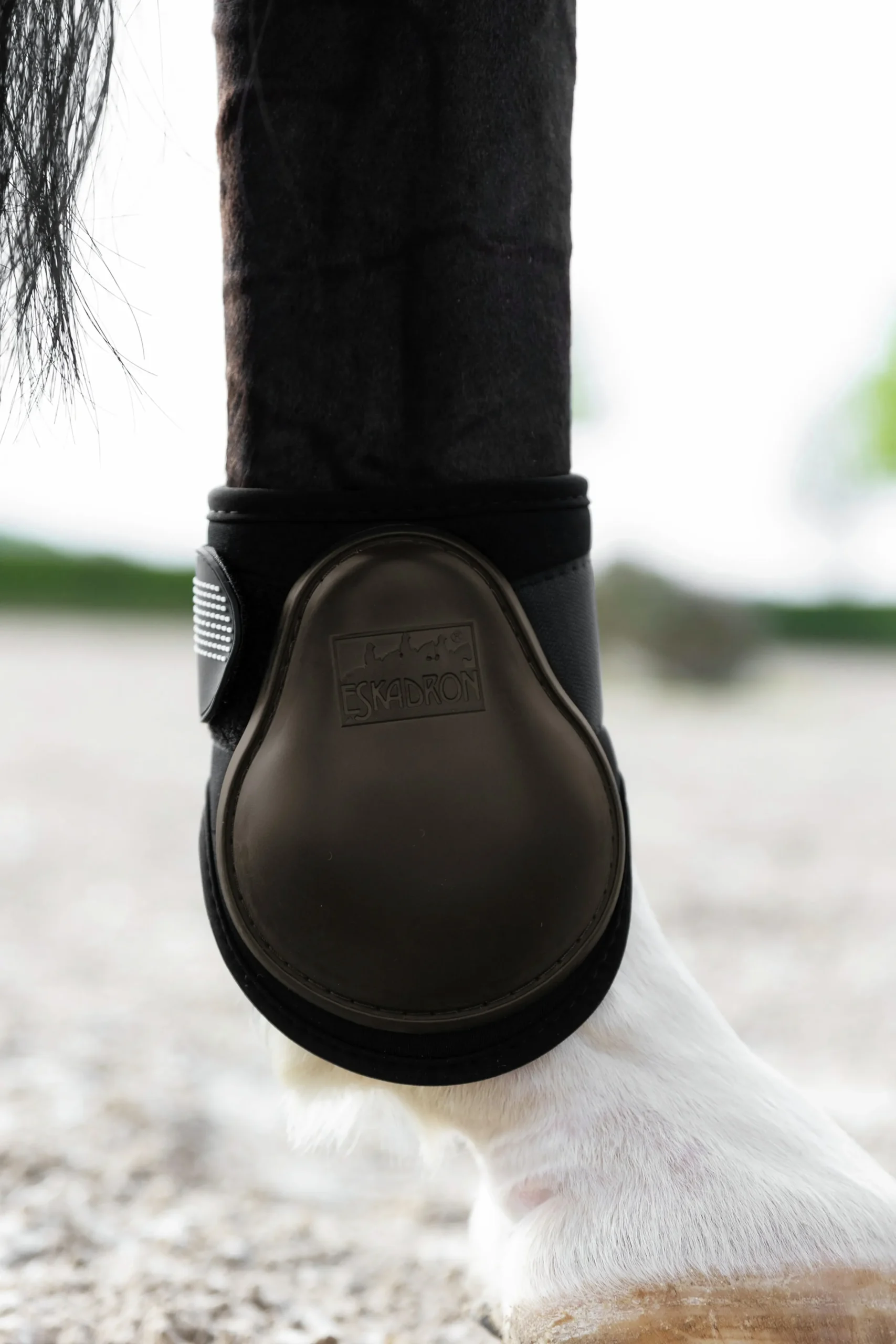 Bakskydd Eskadron Protection 2-p