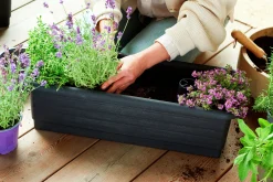 Balkonglåda Orthex Botanica Återvunnen plast Svart 80cm