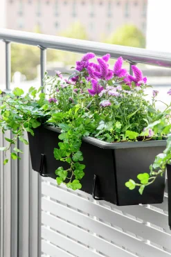 Balkonglåda Orthex Botanica Återvunnen plast Svart 100cm
