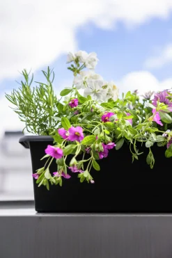 Balkonglåda Orthex Botanica Återvunnen plast Svart 100cm