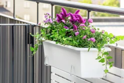 Balkonglåda Orthex Botanica Återvunnen plast Vit 60cm