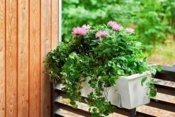 Balkonglåda Orthex Botanica Återvunnen plast Vit 80cm