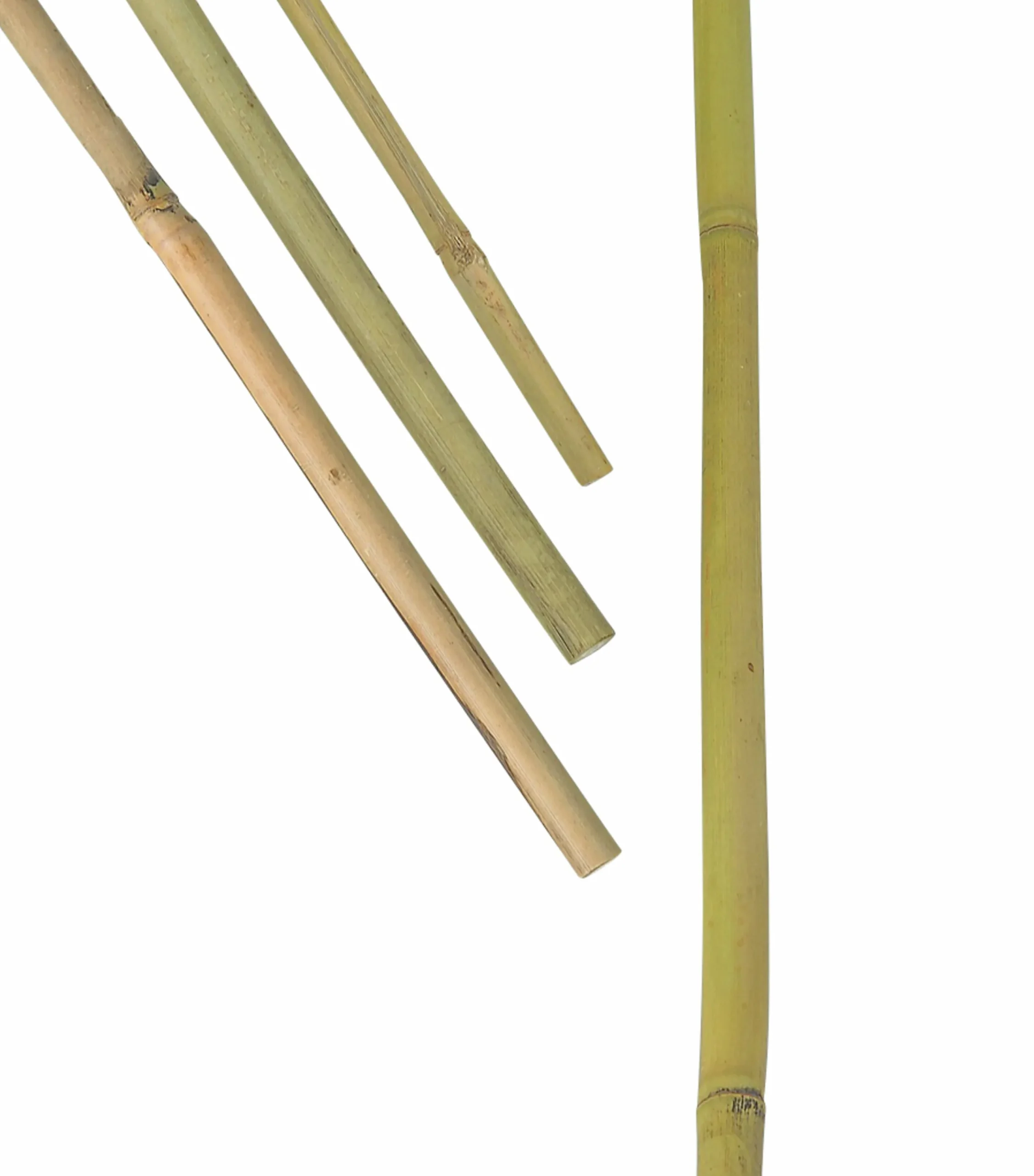 Bambukäpp Nelson Garden Växtstöd 150cm 5-p