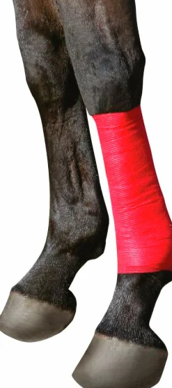 Bandage Kerbl EquiLASTIC 5cmx4,5m Röd