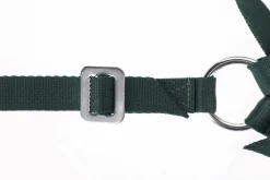 Betäckningssele Kerbl nylon till bagge