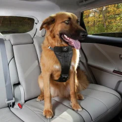 Bilsele Hund Kurgo Tru-Fit Svart