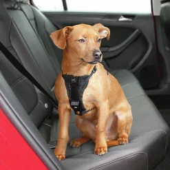 Bilsele Hund Kurgo Tru-Fit Svart