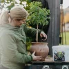 Biokol med vermikompost Nelson Garden Biohumus Terra 5L