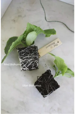 Biokol med vermikompost Nelson Garden Biohumus Terra 5L