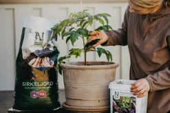 Biokol med vermikompost Nelson Garden Biohumus Terra 5L