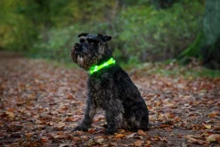 Blinkhalsband Dogman LED Orange Onesize 20-65cm