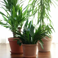 Blomjord med Lecakulor Hasselfors 15L