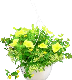 Blommande ampel Nyans 27cm