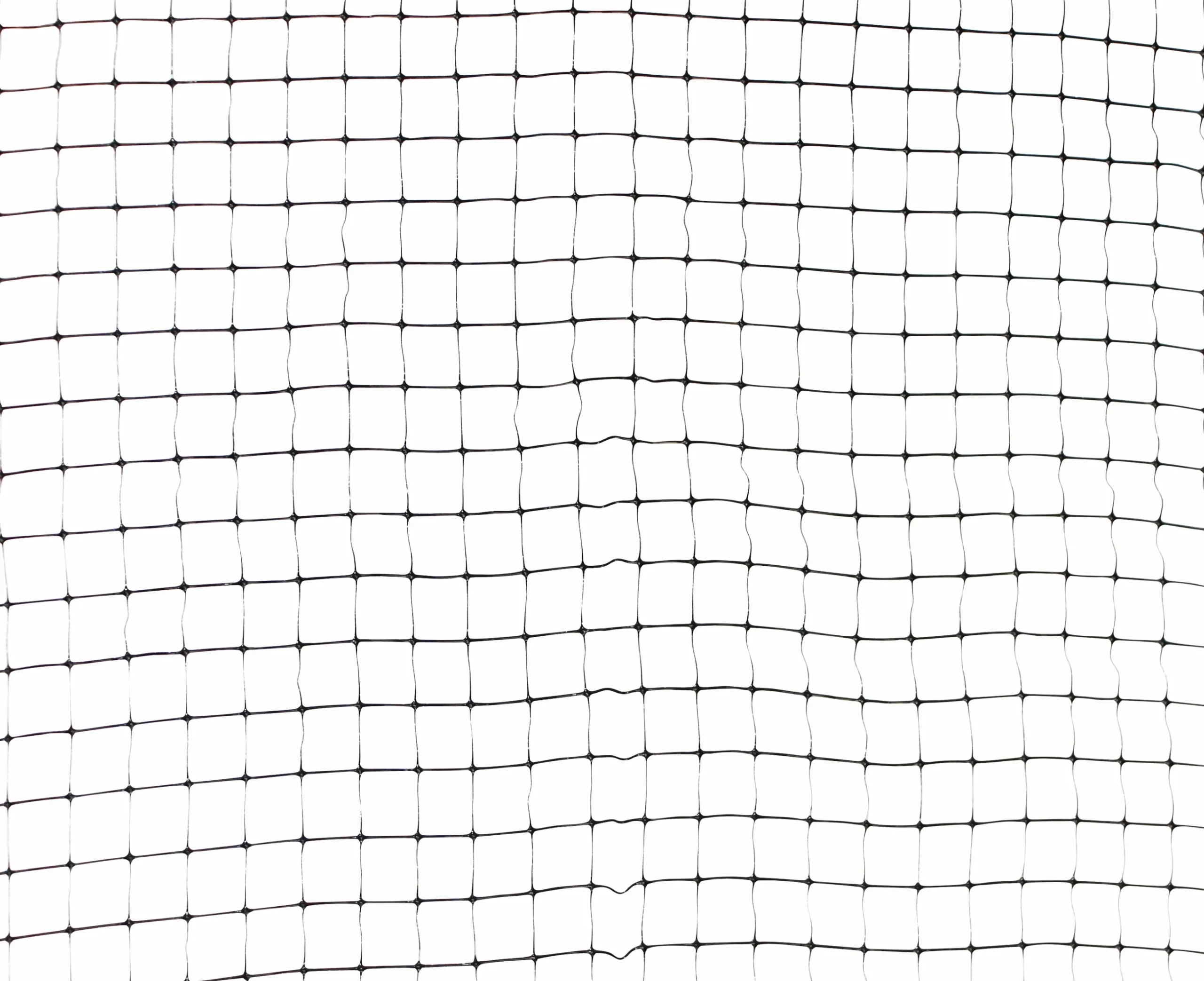 Bärnät Allox 2B Special 4x5m