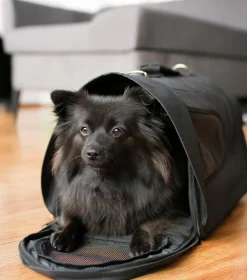 Bärväska Dogman Hund och Katt Snobben Svart 46cm