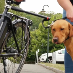 Cykelfäste med koppel Active Canis