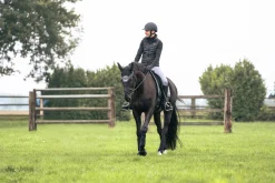 Damask Back on Track Opal Svart Fram 2-p