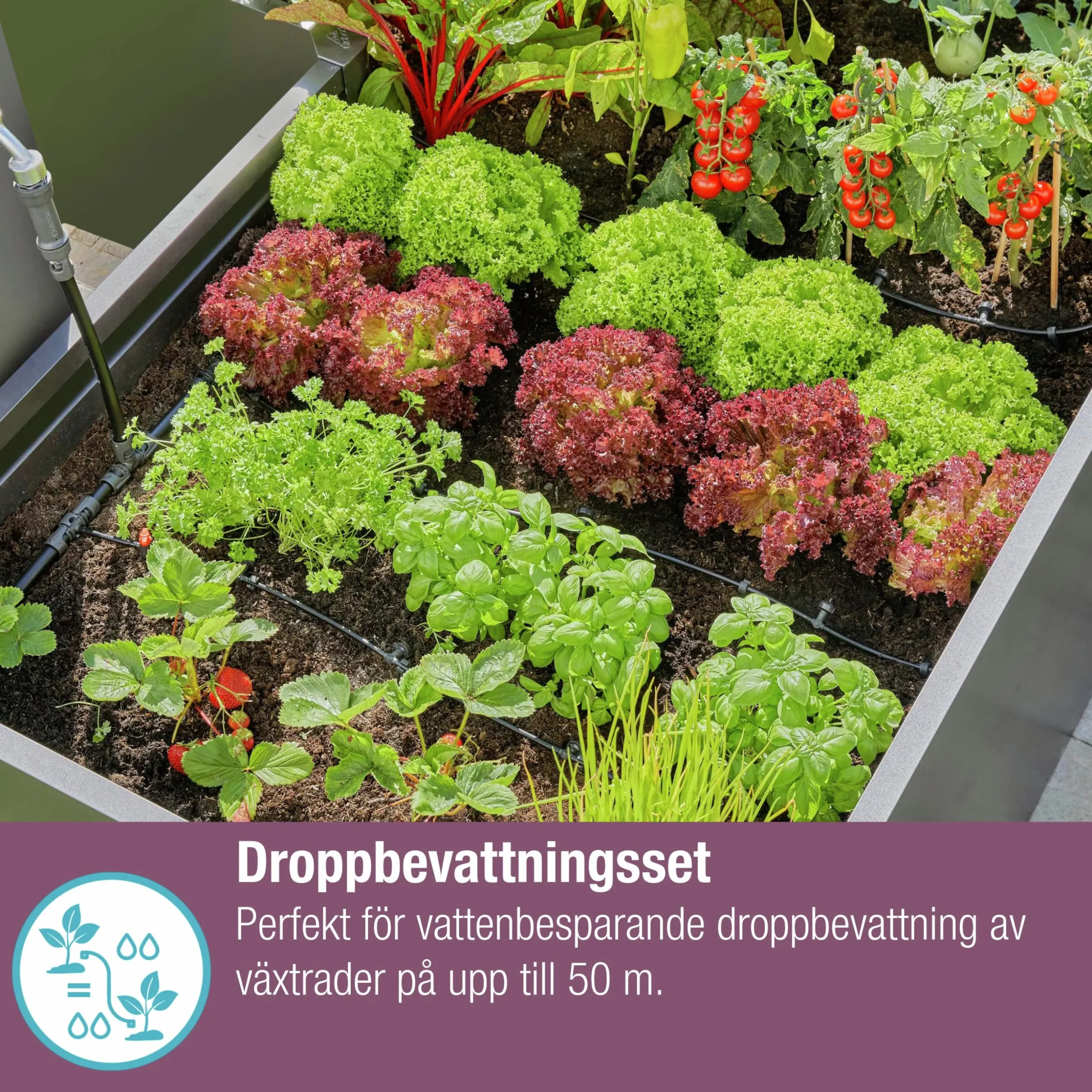 Droppslang Gardena MicroDrip Startset Häckar/Buskar 50m