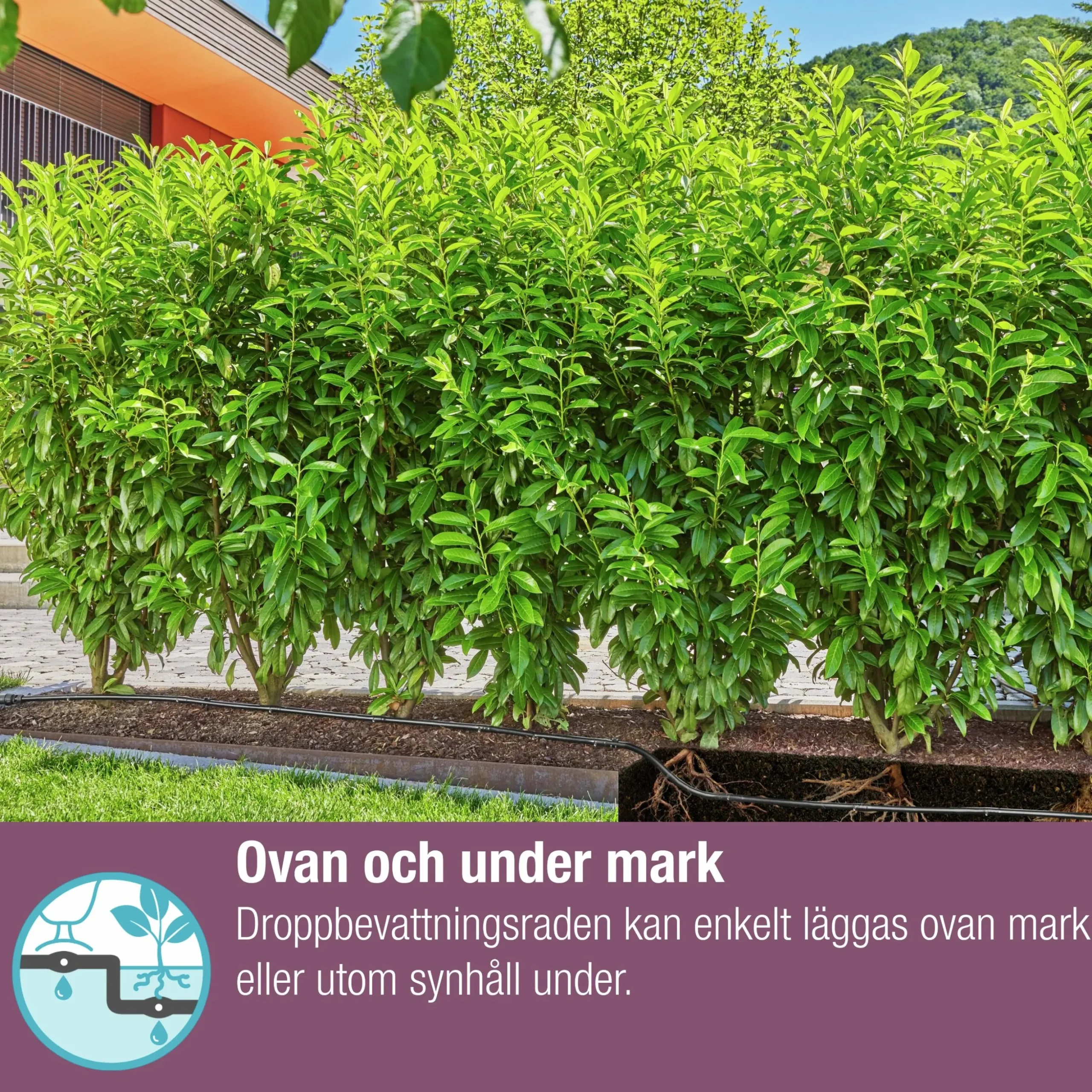 Droppslang Gardena MicroDrip Startset Häckar/Buskar 50m