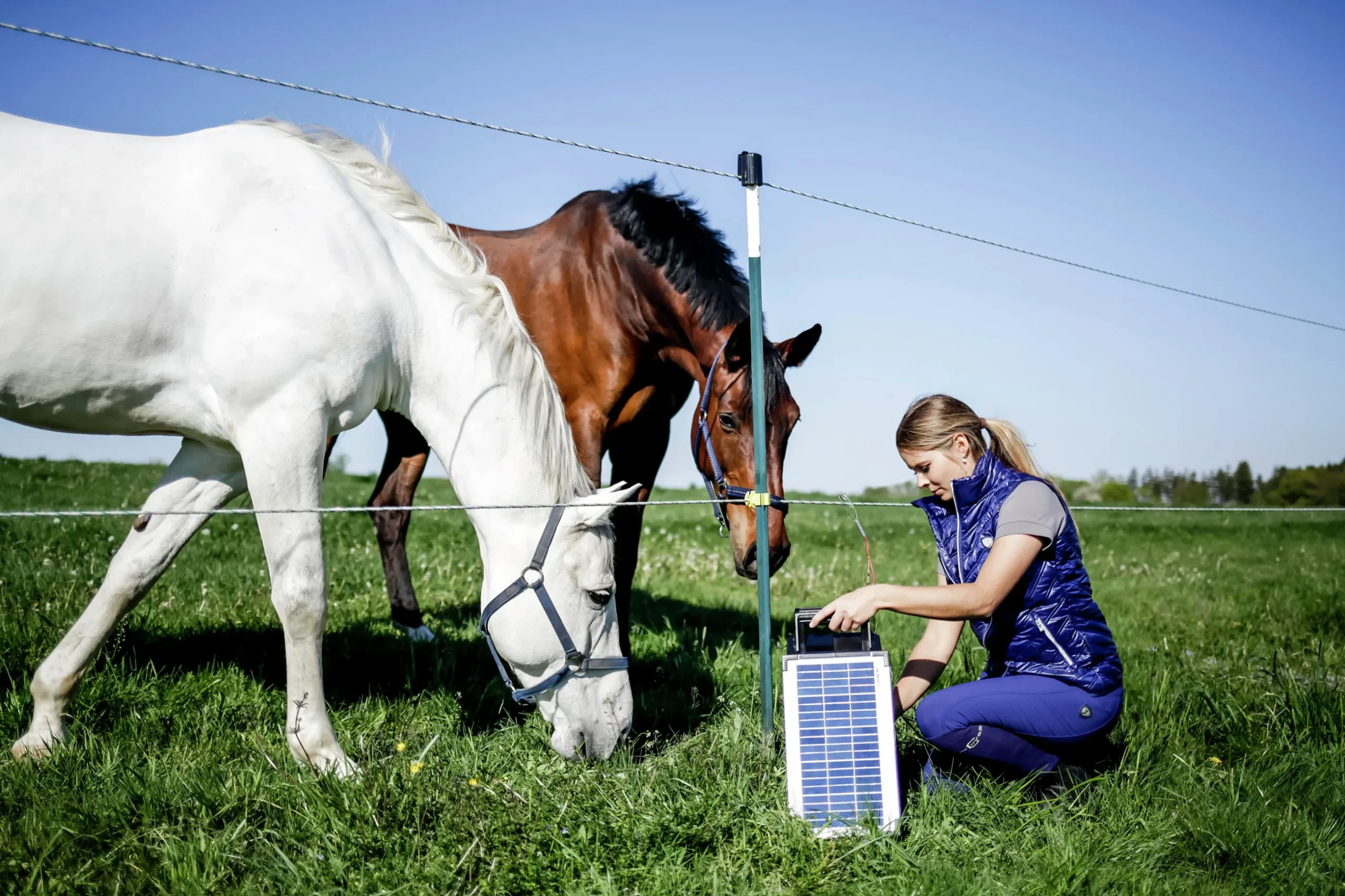Elstängselaggregat AKO Sun Power S800 12V