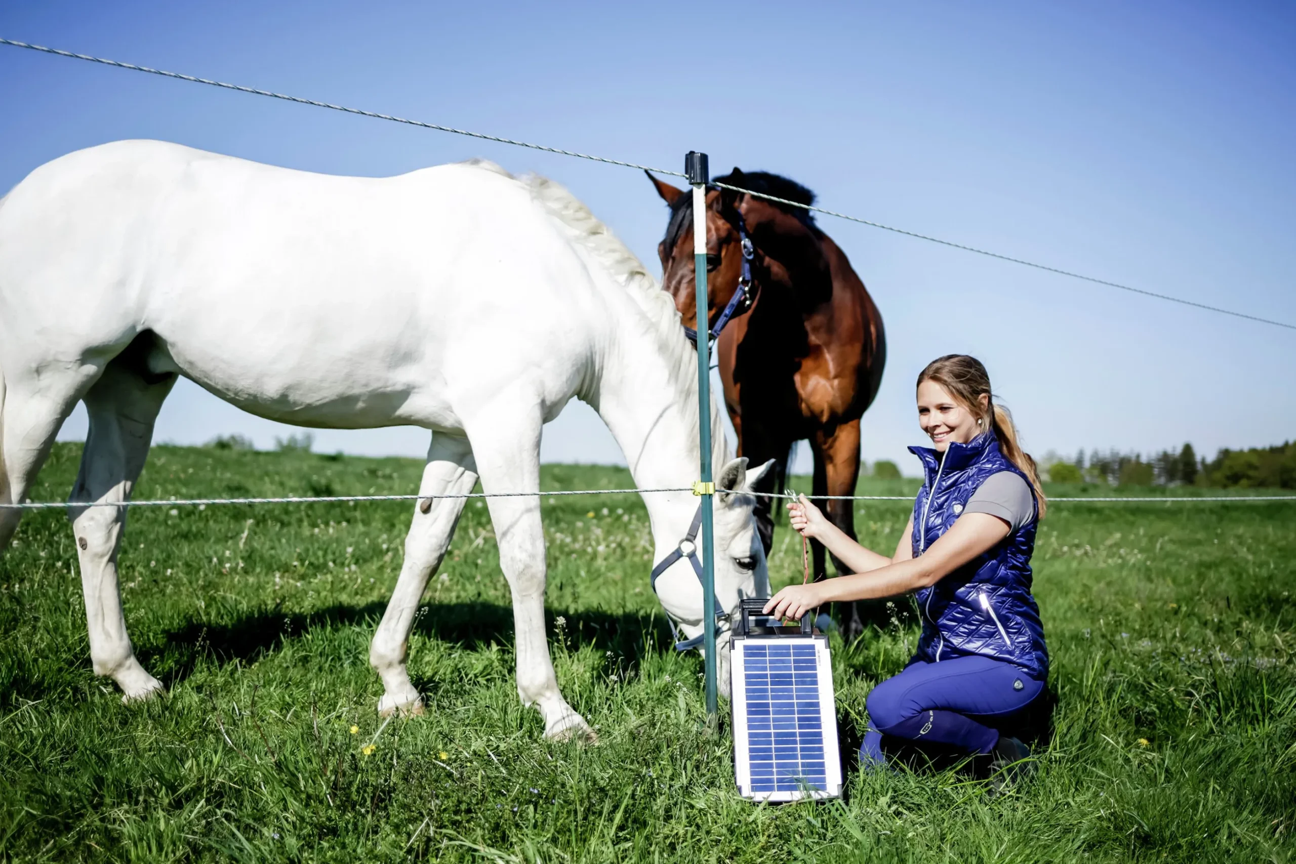 Elstängselaggregat AKO Sun Power S800 12V