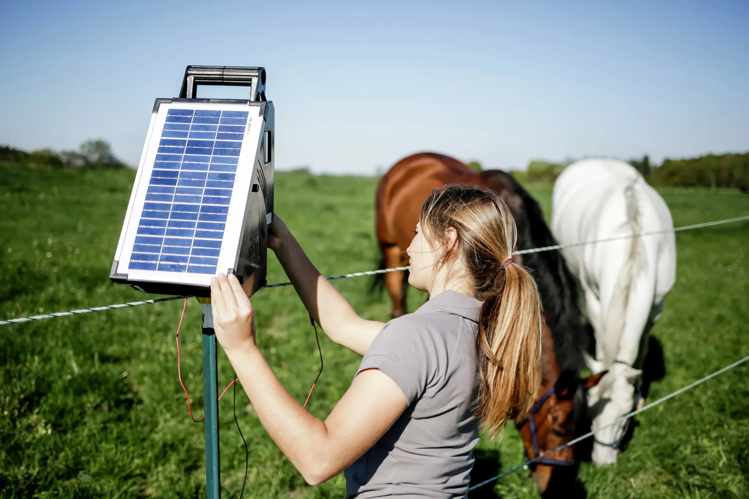 Elstängselaggregat AKO Sun Power S800 12V