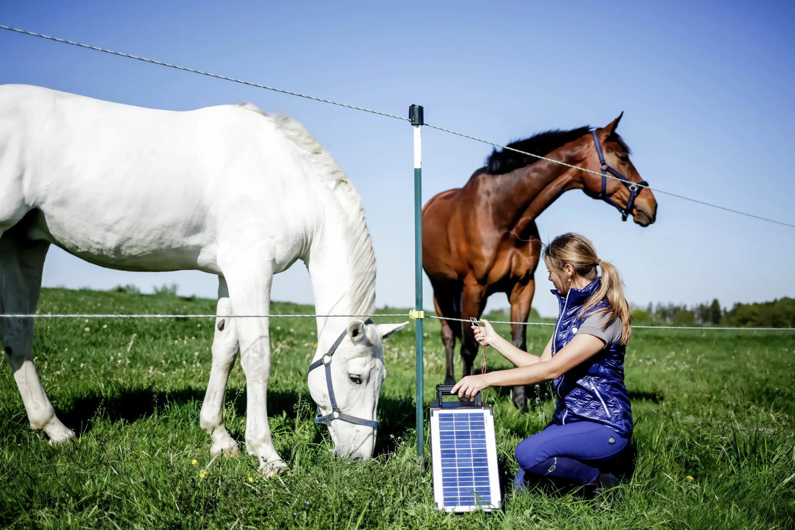 Elstängselaggregat AKO Sun Power S800 12V