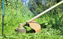 Elstängselnät AKO Skyddsnät mot vildsvin 63-73cm 50m