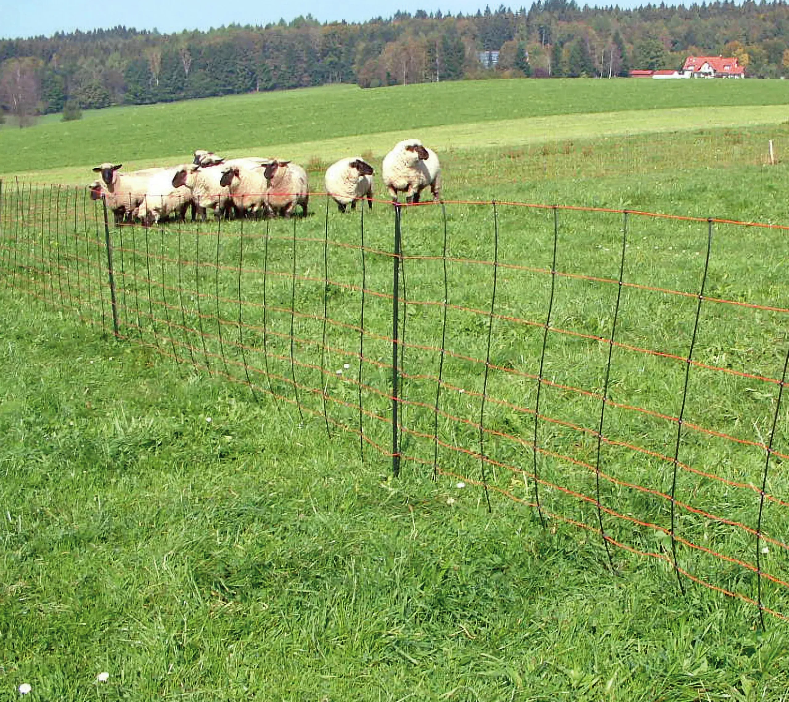 Elstängselnät AKO TitanNet får 108cm 50m