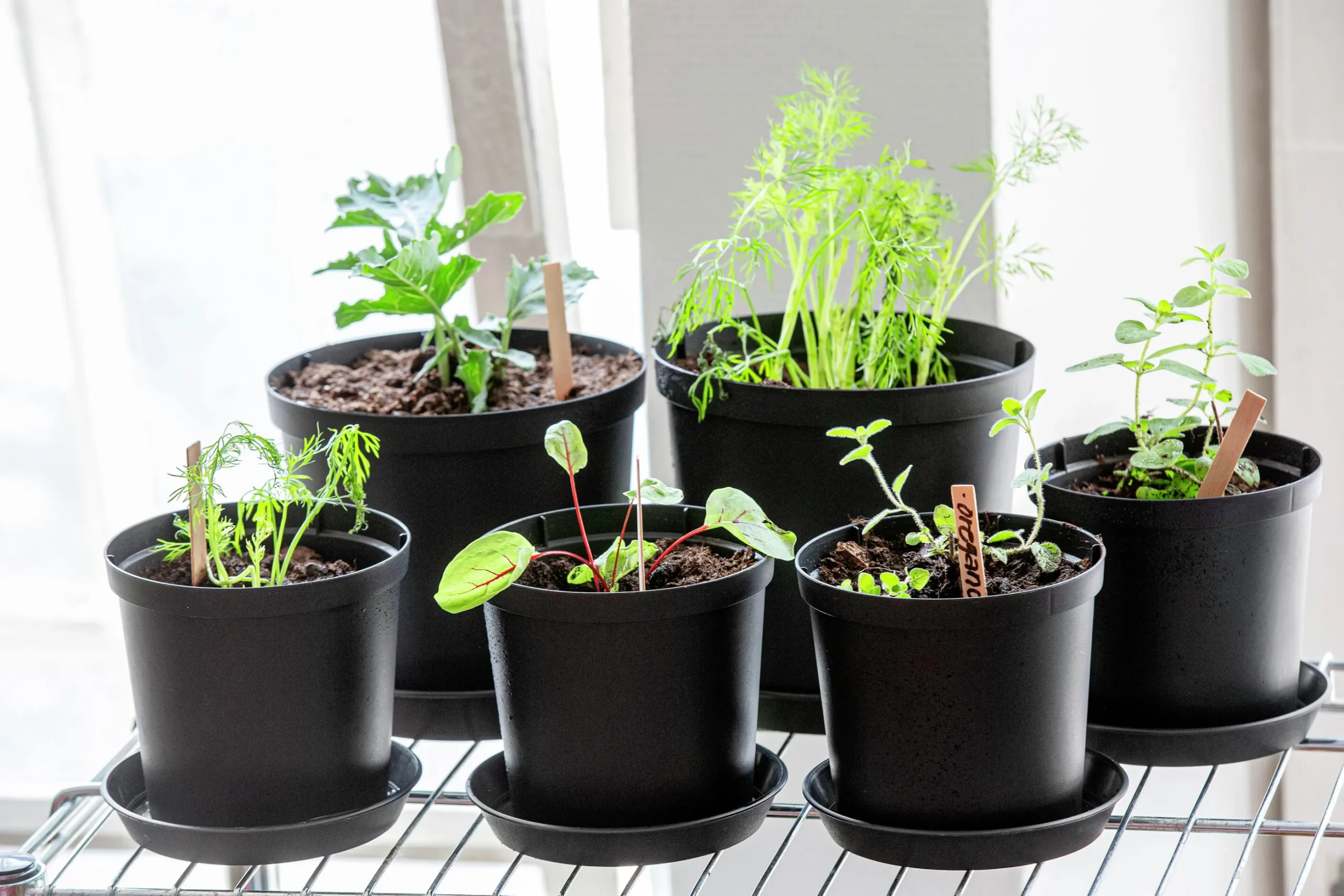 Fat Orthex Cultivate Återvunnen plast Ø16cm