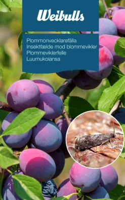 Feromonfälla Weibulls Plommonvecklare