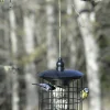 Fågelmatare Nelson Garden Protect för 4 Talgbollar 29cm