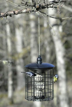 Fågelmatare Nelson Garden Protect för 4 Talgbollar 29cm