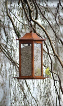 Fågelmatare Nelson Garden Rost Frö 33cm