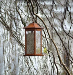 Fågelmatare Nelson Garden Rost Frö 33cm