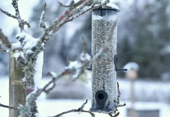 Fågelmatare Nyby Bruk Rör Frö Svart 30cm 1,1L